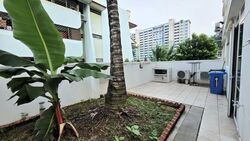 Lorong Lew Lian (D19), Semi-Detached #580774371